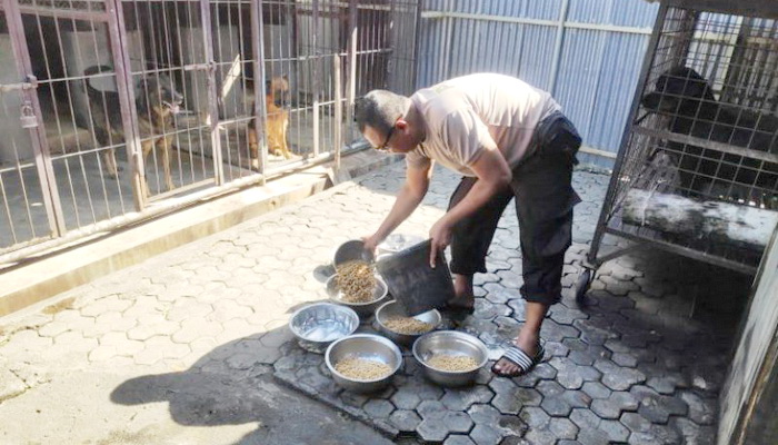 Rutin Dimandikan, Unit K9 Polresta Surakarta Jaga Kesehatan Anjing Pelacak