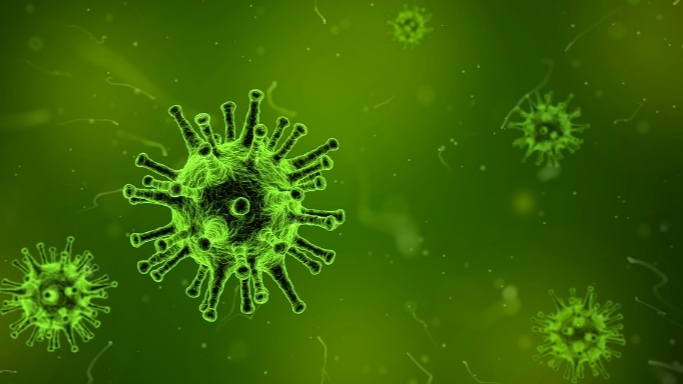Berpotensi Menular ke Manusia, Pemerintah Waspadai Virus Flu Burung Blade Varian Baru