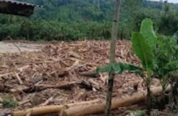 18 Saksi Diperiksa Bareskrim, Dugaan Kayu Ilegal Mengalir Bersama Banjir di Aceh dan Sumatera
